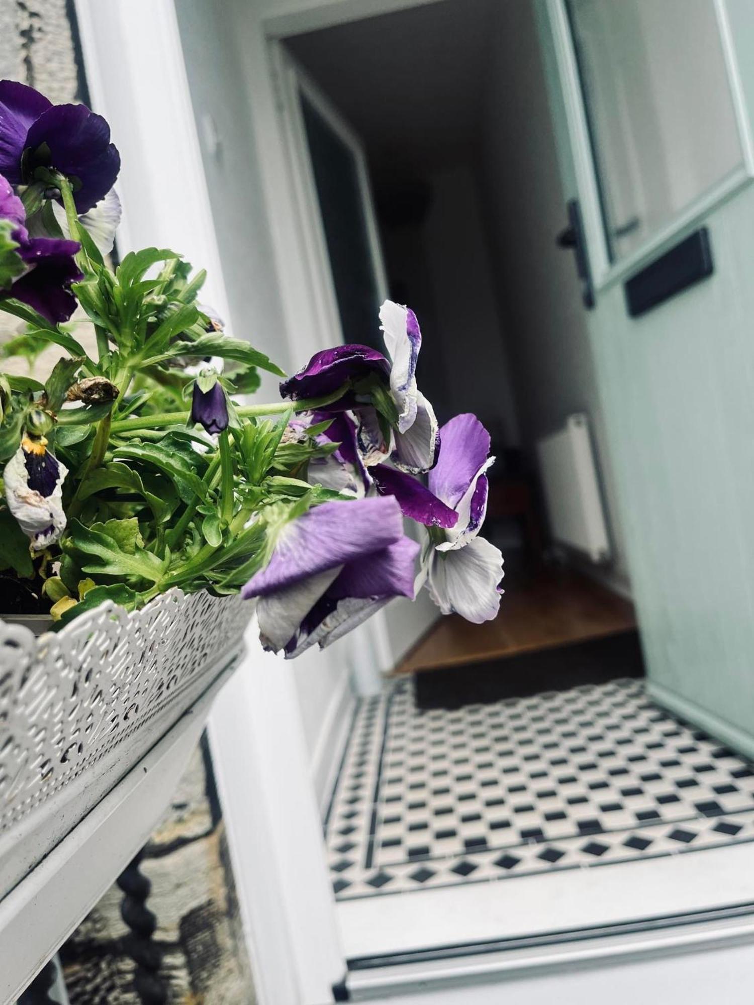Apartament 7A Seatreat Kinghorn Zewnętrze zdjęcie